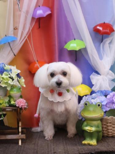 20230624ヒメちゃん